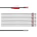 LWANO 31 inch Training Arrows-Archery Practice