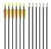 GPP 28 inch Fiberglass Archery Target Arrows -
